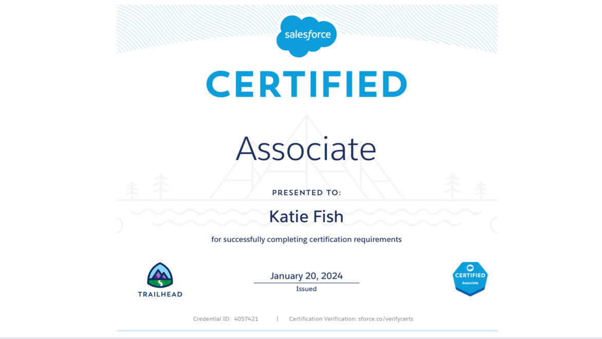 Salesforce Associate